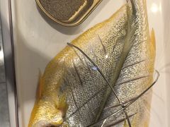 -赶海部落海鲜城(海阳路店)