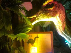 -恐龙探索乐园(磁器口店)