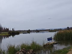 -呈贡滇池生态湿地公园
