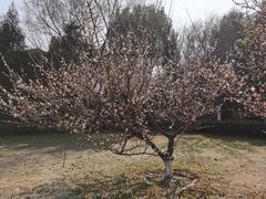 -长广溪湿地公园