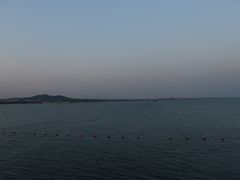 -烁佳海鲜大馅饺子