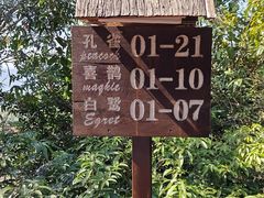 -三亚亚龙湾人间天堂鸟巢度假村