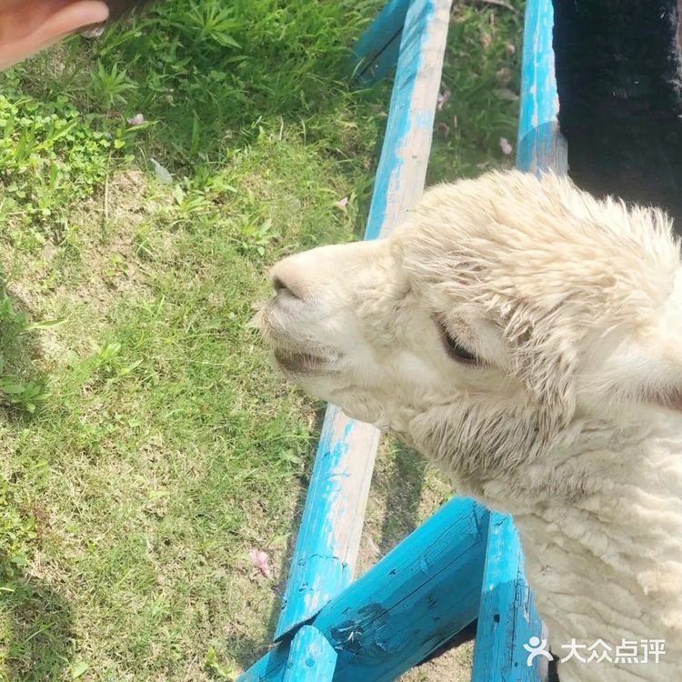 这个夏日带宝贝来亲子游乐园培养感情吧！