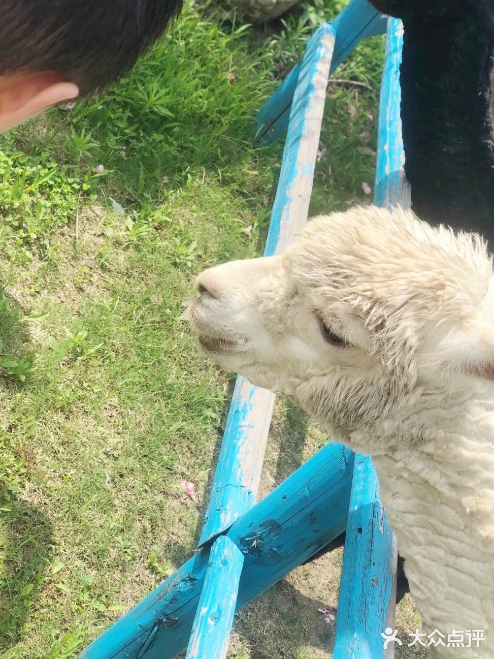 这个夏日带宝贝来亲子游乐园培养感情吧！