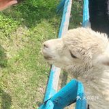 这个夏日带宝贝来亲子游乐园培养感情吧！