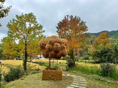-塔川景区