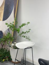-AM半永久纹眉