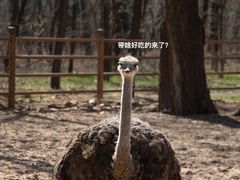 -秦皇岛野生动物园