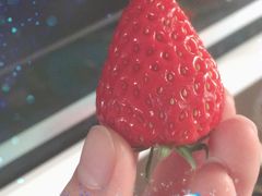 -巴莉甜甜(兴园小区店)