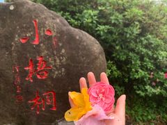 -梧桐山风景名胜区