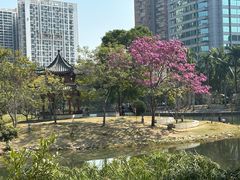 -四海公园(南山区)