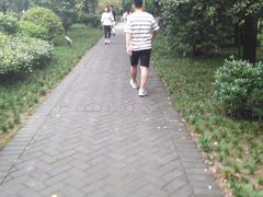 -唐城墙遗址公园