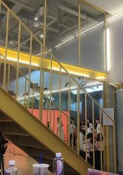 -YASAKI国际舞蹈中心