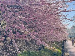 -马栏河运动公园