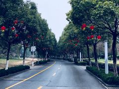 -汤山公园