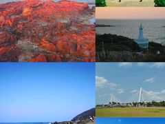 -亚龙湾热带天堂森林公园