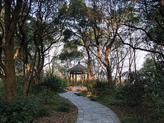 -鄱阳湖国家湿地公园