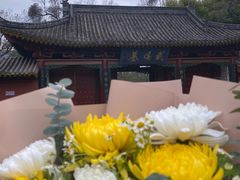 -武侯墓风景区