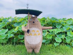 -嘉北郊野公园