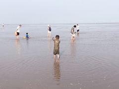 -南汇嘴观海公园