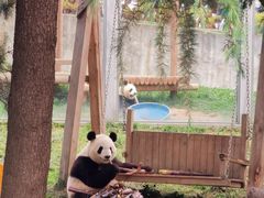 -西安秦岭野生动物园