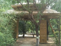 -大兴滨河森林公园