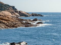 -广东惠东海龟国家级自然保护区