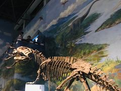 -自贡恐龙博物馆