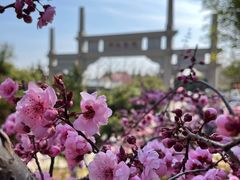 -竹子庵公园