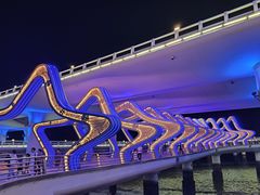 -演武大桥观景平台