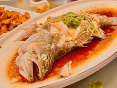 清蒸鲈鱼-润泽园饭庄(中山路店)