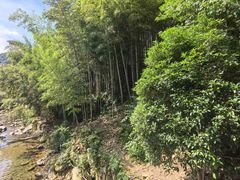 -众神白水涧景区