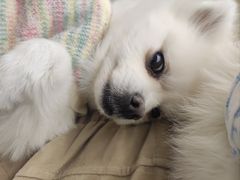 -怪兽屋·羊驼·猫咖·狗咖(俊华广场店)