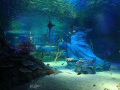 -沈阳海洋探索中心