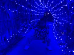 -融水老君洞景区