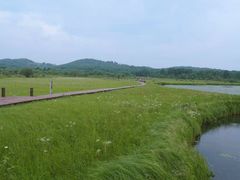 -塞罕坝国家级自然保护区