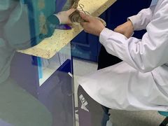 -睿金宠物医院·CT·肿瘤·骨外科