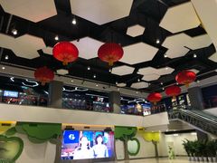 -中国宋庆龄青少年科技文化交流中心