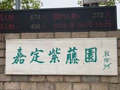-嘉定紫藤园