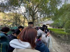 -韶山毛泽东同志故居