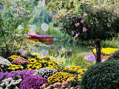 -上海共青森林公园