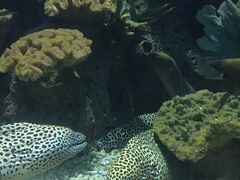 -多彩贵州城极地海洋世界