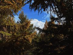 -苏木山森林公园