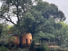 -杨家堂村