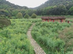 -广州市石门国家森林公园
