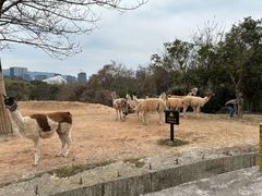 -杭州野生动物世界