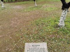 -杭州植物园
