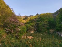 -秦岭终南山世界地质公园翠华山景区