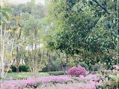 -徐家汇源景区-衡山公园