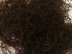 -顺风肥牛(中央国际店)